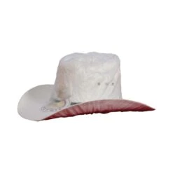 Regenschutz Für Westernhut