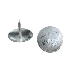 Conchas Mit Holzschraube