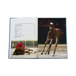 Die Psychologie Des Pferdes Von Martin Kreuzer 7 Die Psychologie Des Pferdes Von Martin Kreuzer -Super Equestrian Supplies die psychologie des pferdes von martin kreuzer3