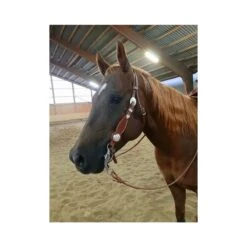 Einohr Kopfstück Mit Basket Und Kehlriemen -Super Equestrian Supplies einohrtrense mit basket punzierung und kehlriemen westernreiten4