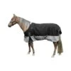 Winterdecke Top Score Wasserdicht Und Atmungsaktiv 1 Winterdecke Top Score Wasserdicht Und Atmungsaktiv -Super Equestrian Supplies winterdecke top score wasserdicht und atmungsaktiv